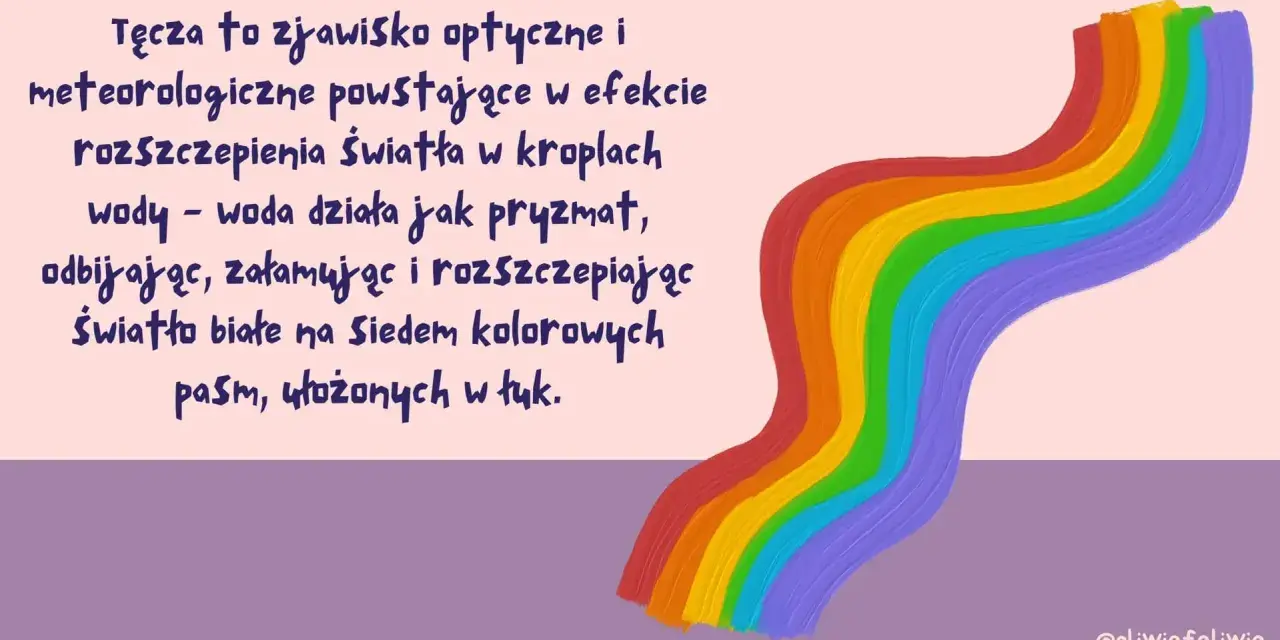 Jak powstaje tęcza? Woda działa jak pryzmat, rozszczepiając białe światło na siedem kolorowych pasm ułożonych w łuk.