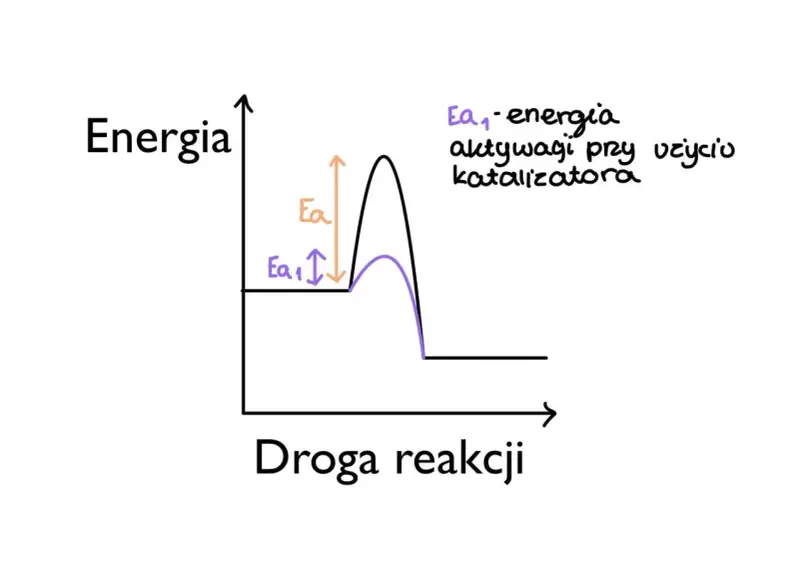 Wykres kinetyki reakcji: energia aktywacji (Ea) bez katalizatora i z katalizatorem (Ea₁).